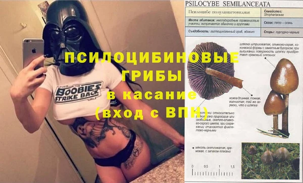 соль курить ск Бородино